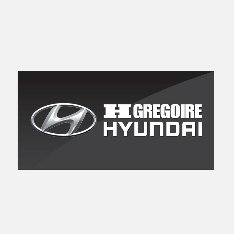 Plaque de véhicule | Hyundai